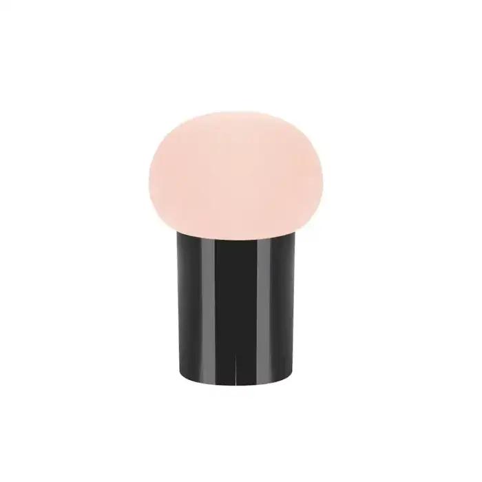Éponge de maquillage pour fond de teint, tête de chambre plus lente, éponge lisse, multifonction, sè