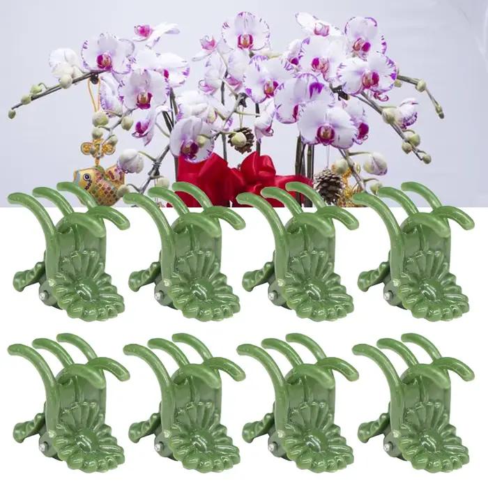 Pinces réglables pour plantes d'orchidées phalaenopsis, pinces vertes de l'armée, tige de support de