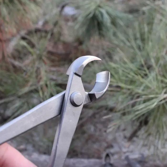 Coupe-bouton de bonsaï, coupe-bord Concave, pince coupante de racines, ciseaux de cisaillement à bil