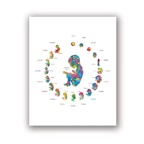 Toile d'art pour femme enceinte, peinture d'images, cadeau d'obstétiste de médecin, développement d'