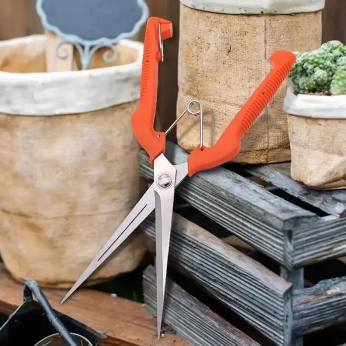 Ciseaux de taille à raisin, outil de jardin, Patch végétal, bonsaï professionnel, cueillette de fruits en acier inoxydable avec serrure, nouveau