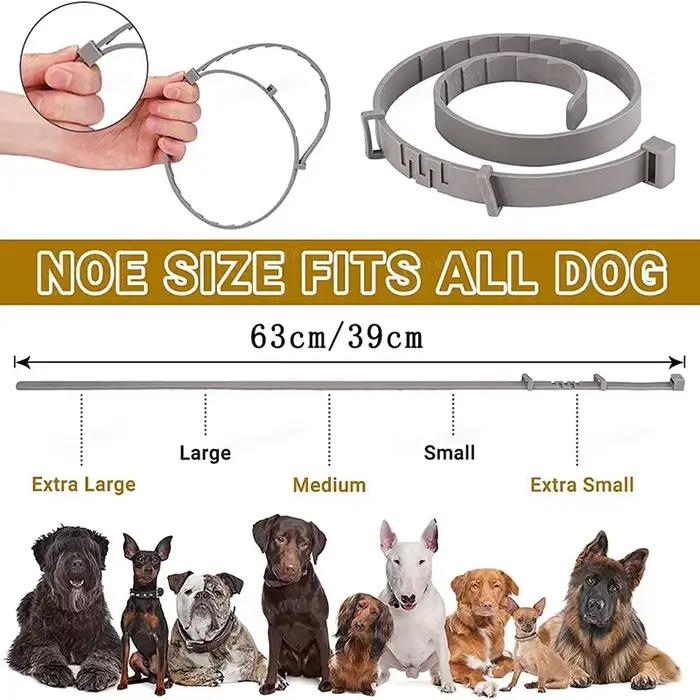 Colliers pour chiens, chiots, chats, 72 cm, 38 cm, pour petits chiens, collier pour chatons, réglable, articles pour animaux de compagnie, accessoires, gris, bleu, noir, rose, violet