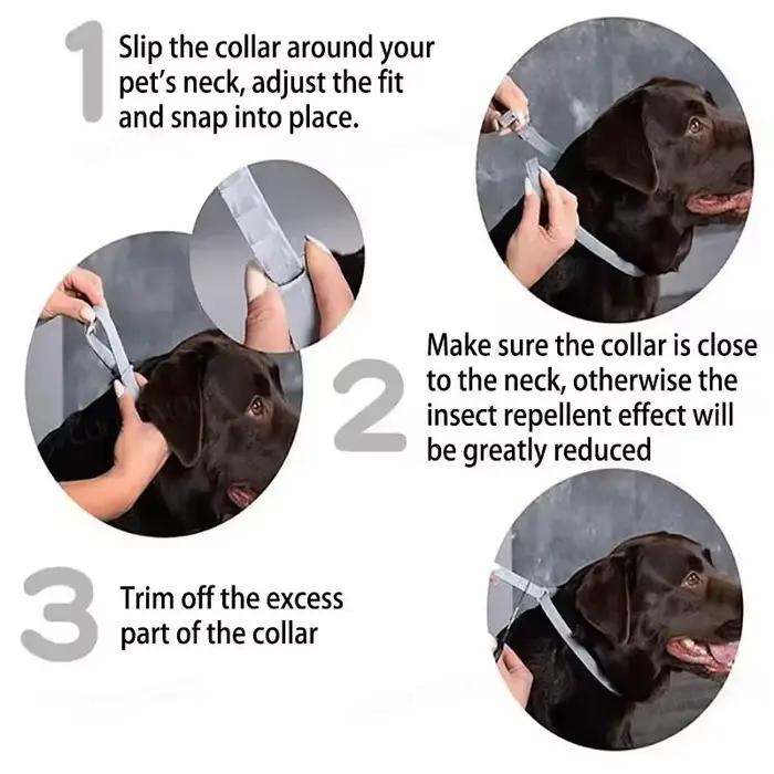 Colliers pour chiens, chiots, chats, 72 cm, 38 cm, pour petits chiens, collier pour chatons, réglable, articles pour animaux de compagnie, accessoires, gris, bleu, noir, rose, violet