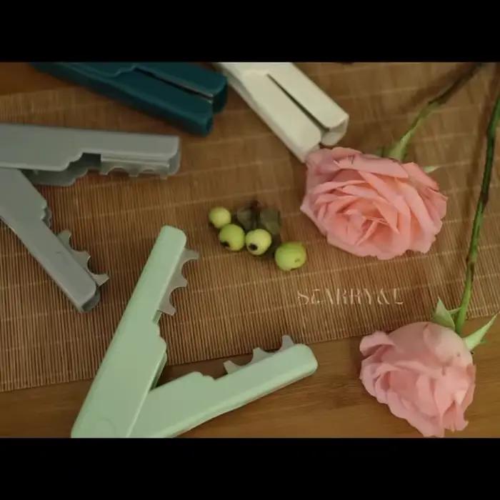 Dissolvant d'épine de Rose, outil de coupe de bricolage, dissolvant de brindilles, outils de jardinage de fleurs, ciseaux de jardinage, outils à main