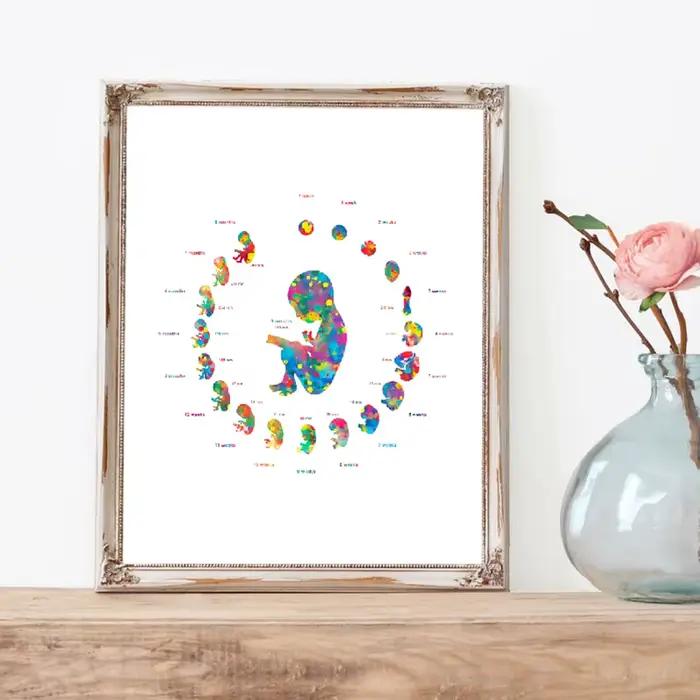 Toile d'art pour femme enceinte, peinture d'images, cadeau d'obstétiste de médecin, développement d'embryons, affiche d'art aquarelle, décor mural imprimé