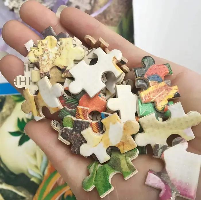 Puzzle du film Titanic de 1000 pièces, décoration de la maison, jeux de puzzle pour adultes, divertissement familial, puzzles au sol, jouets éducatifs pour enfants