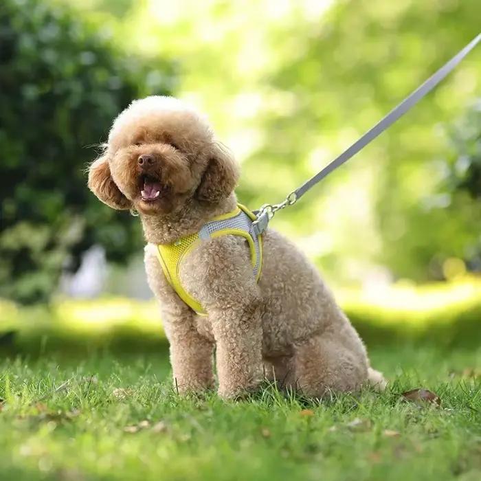 Ensemble de harnais pour chiot, accessoires pour chiens, gilet réglable pour animaux de compagnie, bouledogue français, Chihuahua, petit collier pour chien, fournitures, produits pour la maison