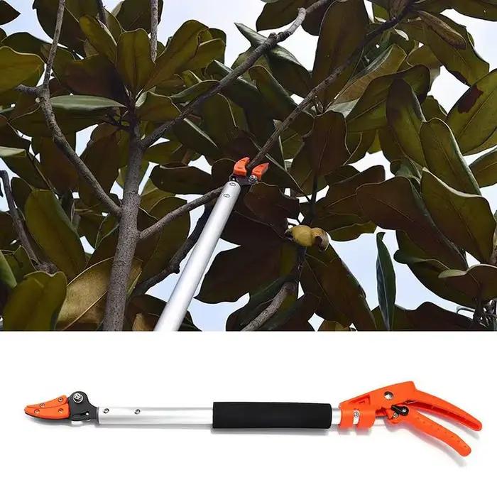 Sécateur de poteau télescopique pour la taille des branches hautes, sécateur d'arbre, coupe et maintien, ciseaux de cueillette de fruits, haies, liban