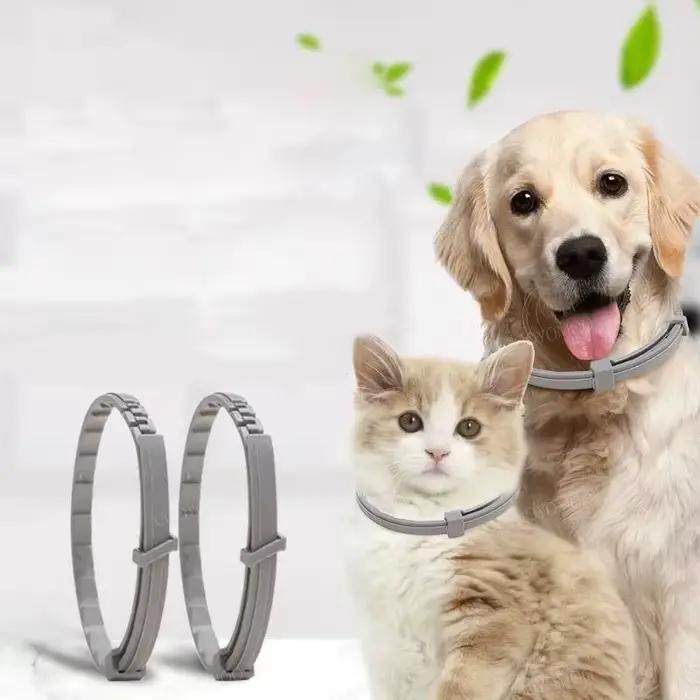 Colliers pour chiens, chiots, chats, 72 cm, 38 cm, pour petits chiens, collier pour chatons, réglable, articles pour animaux de compagnie, accessoires, gris, bleu, noir, rose, violet