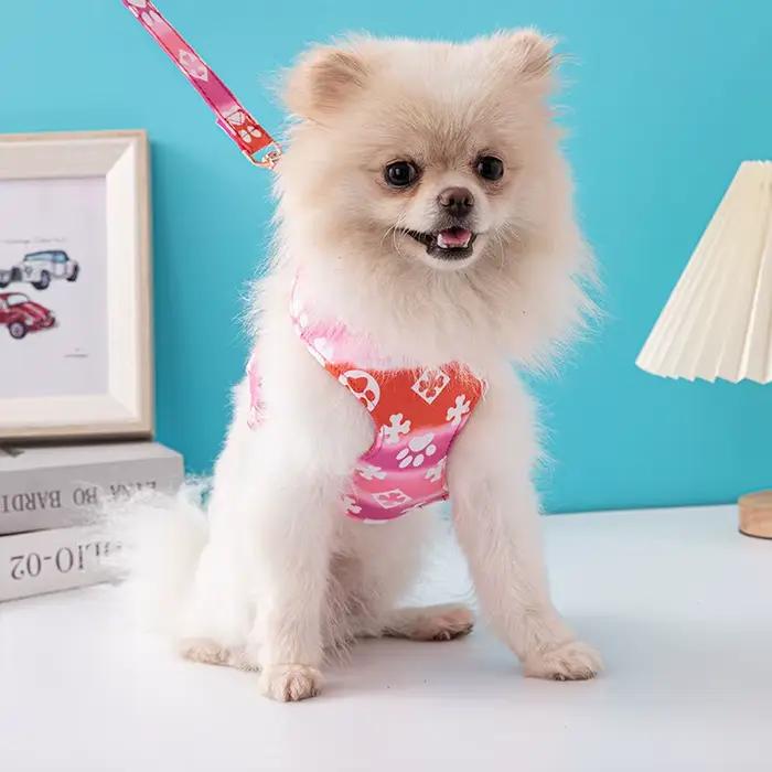 Harnais pour chien de luxe de styliste, ensemble de poitrine et de dos pour animaux de compagnie, petit et moyen, laisse de marche en plein air pour chien, laisse pour chiot, fournitures pour animaux 