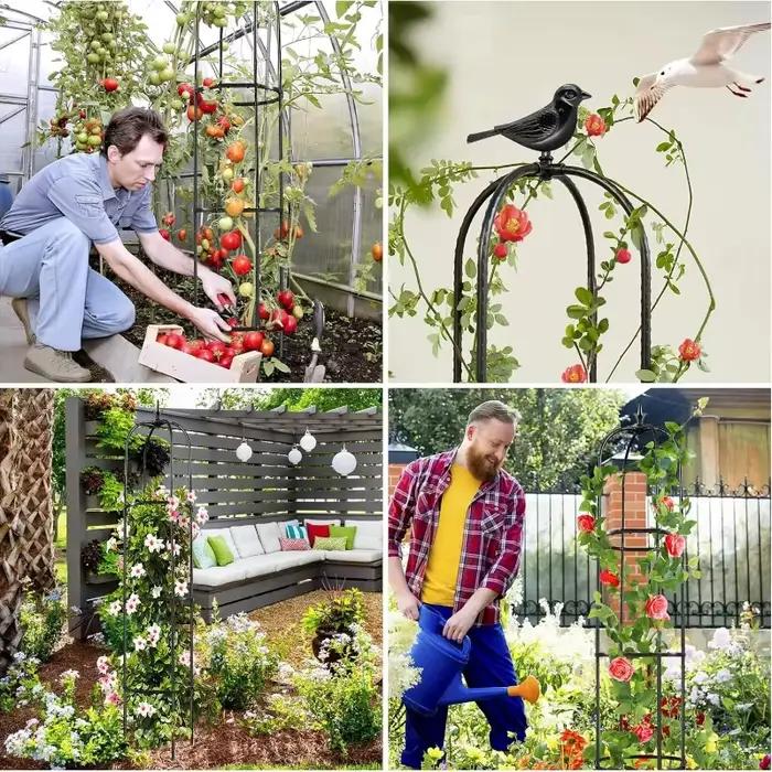 Treillis d'extérieur pour la grimpée des roses |   Buissons de roses, fournitures de jardinage, comprenant des supports de structure, des supports pour pots de fleurs, des supports pour plantes