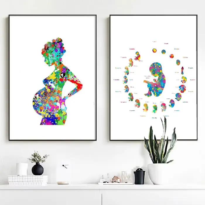 Toile d'art pour femme enceinte, peinture d'images, cadeau d'obstétiste de médecin, développement d'embryons, affiche d'art aquarelle, décor mural imprimé