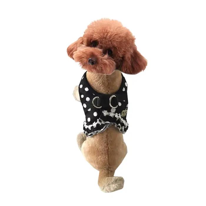 Ensemble collier et laisse pour chien, design à pois de luxe, fournitures pour petits chiots, accessoires pour chihuahua, poitrine SFP, mignon