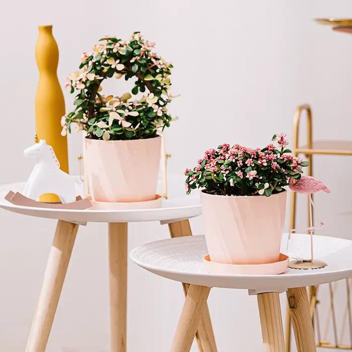 Jardinière succulente en plastique et résine, grand radis vert, nouvelle plante en pot d'aloe Vera en céramique blanche