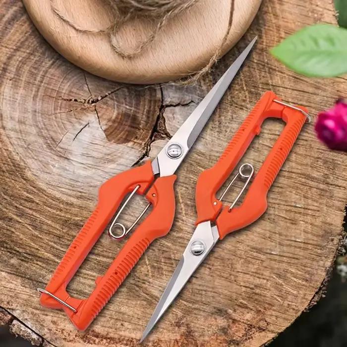 Ciseaux de taille à raisin, outil de jardin, Patch végétal, bonsaï professionnel, cueillette de fruits en acier inoxydable avec serrure, nouveau