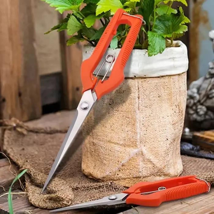 Ciseaux de taille à raisin, outil de jardin, Patch végétal, bonsaï professionnel, cueillette de fruits en acier inoxydable avec serrure, nouveau