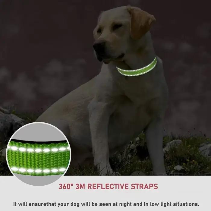 Collier ras du cou pour petit chien, colliers pour chiot, grand collier décoratif pour chien, GXQ07