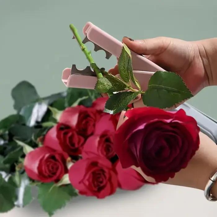 Dissolvant d'épine de Rose, feuille de tige d'épine de fleur, pince à Rose Portable, outils de jardinage de fleuriste, outils de bonsaï, 1/3/5/10 pièces