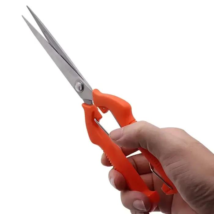 Ciseaux de taille à raisin, outil de jardin, Patch végétal, bonsaï professionnel, cueillette de fruits en acier inoxydable avec serrure, nouveau