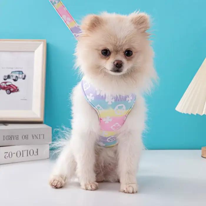 Harnais pour chien de luxe de styliste, ensemble de poitrine et de dos pour animaux de compagnie, petit et moyen, laisse de marche en plein air pour chien, laisse pour chiot, fournitures pour animaux 