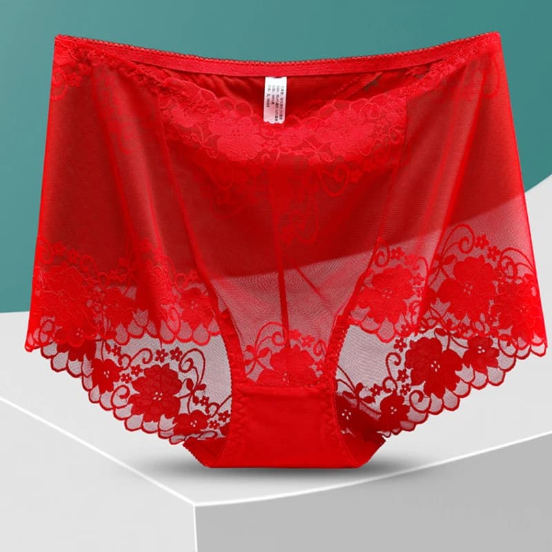 Grande culotte transparente grande taille pour femme, caleçon ajouré en dentelle florale, slip en ma