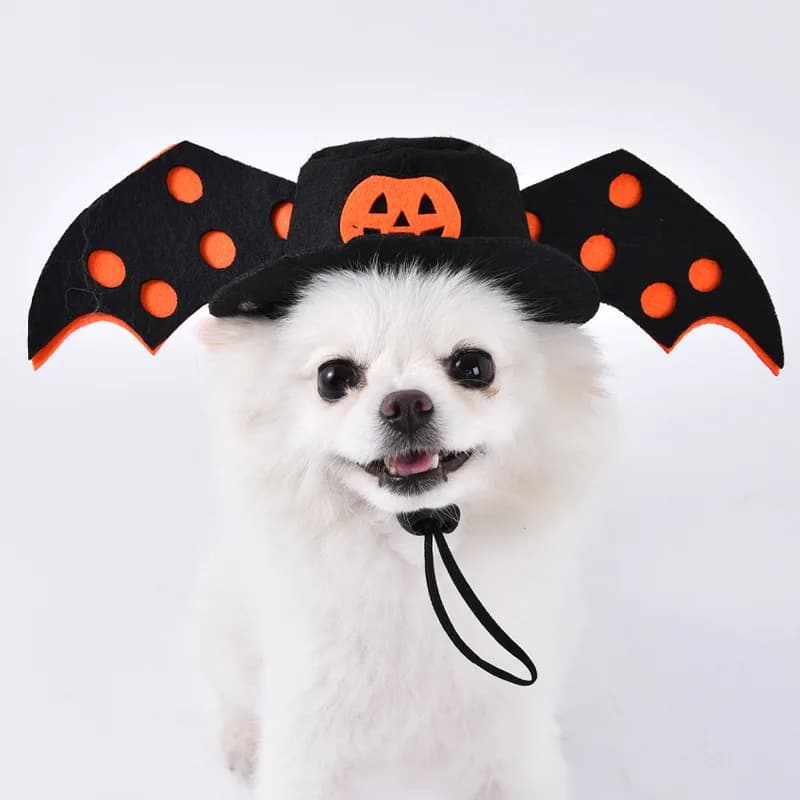 Accessoire de costume pour animal de compagnie, chapeau de chauve-souris pour chien d'Halloween