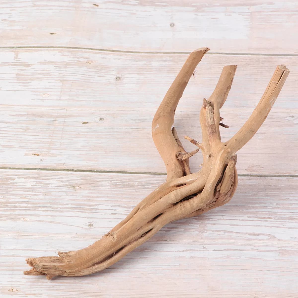 Branche de bois flotté naturel de 30-35 cm pour la décoration d'aquarium d'eau douce, habitat pour c