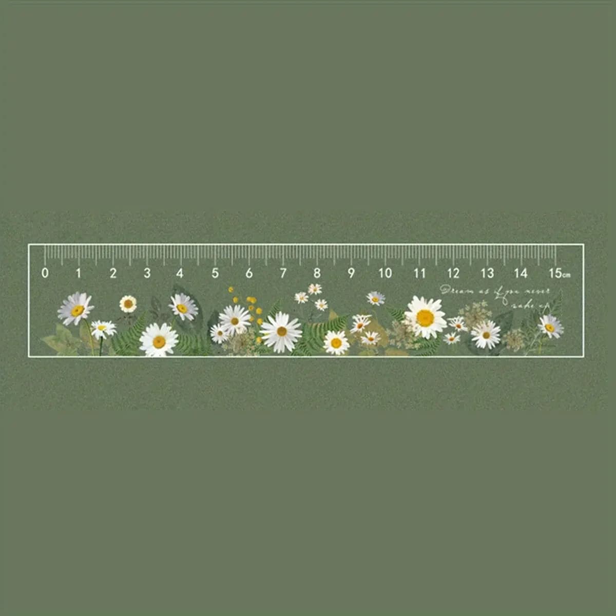 Règle scolaire en acrylique transparent de 15 cm avec centimètres – Durable et facile à lire