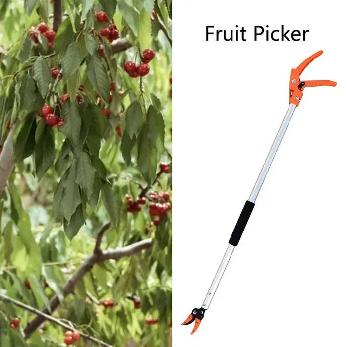 Sécateur de poteau télescopique pour la taille des branches hautes, sécateur d'arbre, coupe et maintien, ciseaux de cueillette de fruits, haies, liban