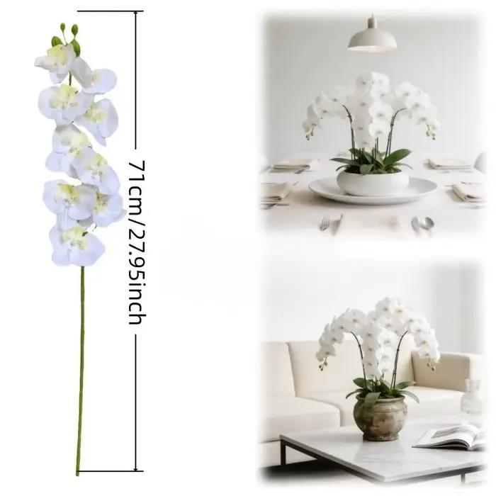 Orchidée Phalaenopsis Artificielle : Conception à Longue Tige Sans Entretien, Utilisation Toute Saison, Idéale pour la Décoration de la Maison, des Mariages ou des Bureaux