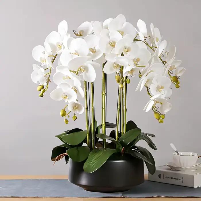 Orchidée Phalaenopsis Artificielle : Conception à Longue Tige Sans Entretien, Utilisation Toute Saison, Idéale pour la Décoration de la Maison, des Mariages ou des Bureaux