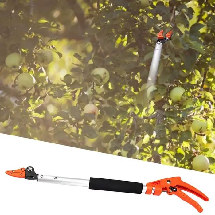 Sécateur de poteau télescopique pour la taille des branches hautes, sécateur d'arbre, coupe et maintien, ciseaux de cueillette de fruits, haies, liban