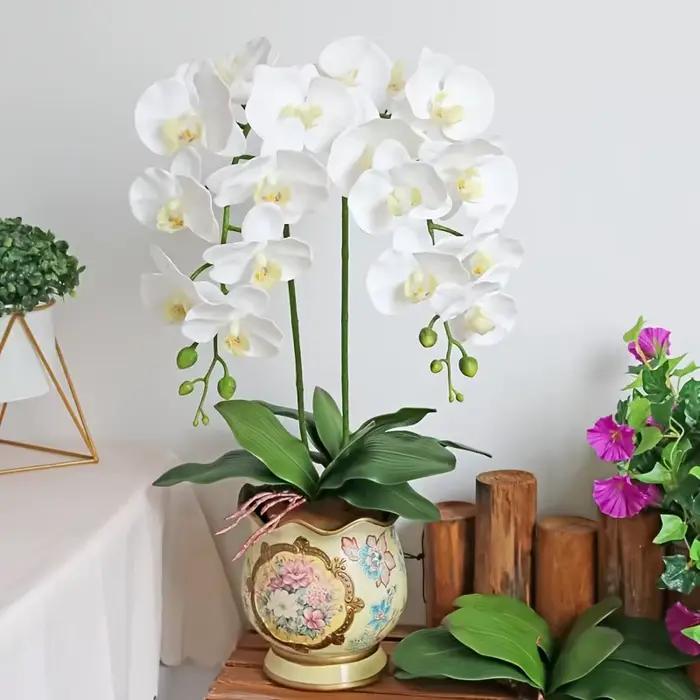 Orchidée Phalaenopsis Artificielle : Conception à Longue Tige Sans Entretien, Utilisation Toute Saison, Idéale pour la Décoration de la Maison, des Mariages ou des Bureaux