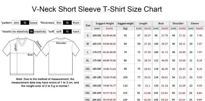 T-shirt unisexe à col en V imprimé en 3D style japonais rétro avec tigre à ailes, décontracté, tendance Y2K, respirant et à séchage rapide